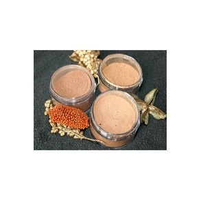 Foundation og Bronzer