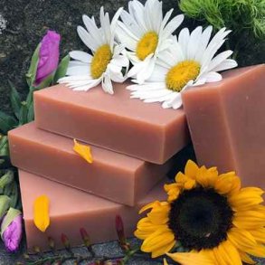 Shampoobars